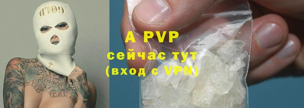 ПСИЛОЦИБИНОВЫЕ ГРИБЫ Абдулино
