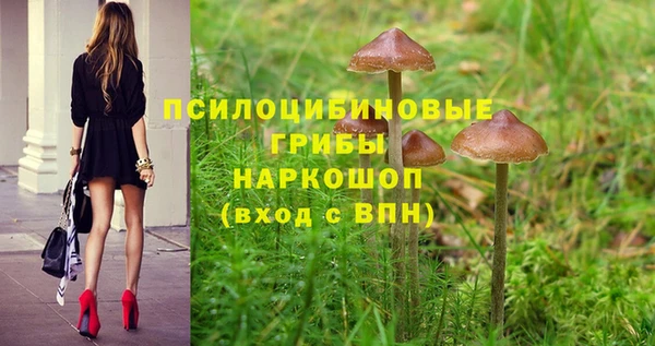 СК Абинск