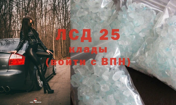 спиды Алзамай