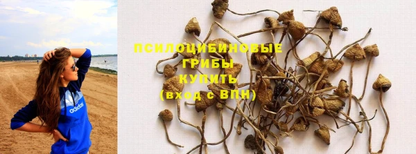 ПСИЛОЦИБИНОВЫЕ ГРИБЫ Абдулино