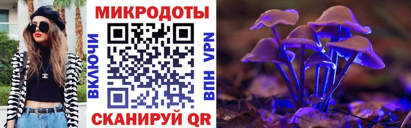 Галлюциногенные грибы прущие грибы  купить наркотик  Краснозаводск 